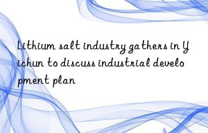 lithium salt industry gathers in yichun to discuss industrial development plan