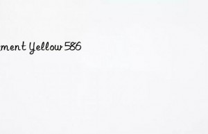 pigment yellow 586