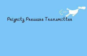 prignitz pressure transmitter