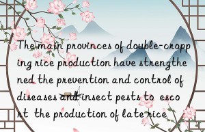the main provinces of double-cropping rice production have strengthened the prevention and control of diseases and insect pests to  escort  the production of late rice