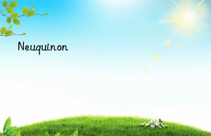 neuquinon