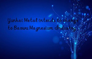 yunhai metal intends to change to baowu magnesium industry