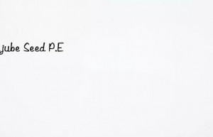 jujube seed p.e