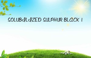 solubilized sulphur black 1