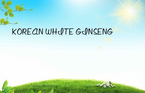 korean white ginseng
