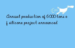 annual production of 6 000 tons of silicone project announced