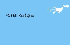 fotek rectifier