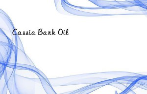cassia bark oil