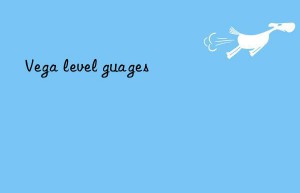 vega level guages
