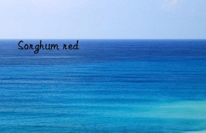 sorghum red