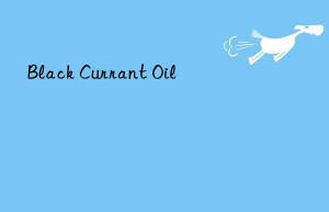 black currant oil