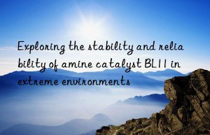 exploring the stability and reliability of amine catalyst bl11 in extreme environments