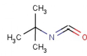 tert-butyl isocyanate