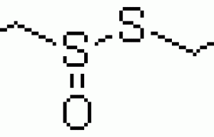 china garlic extract