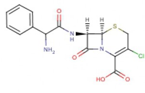cefaclor