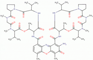 actinomycin d