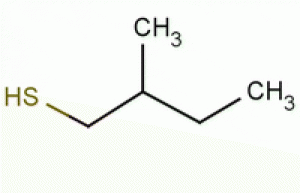 2-methyl-1-butanethiol