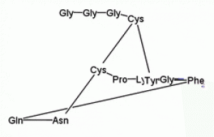 terlipressin, 14636-12-5, 914453-96-6