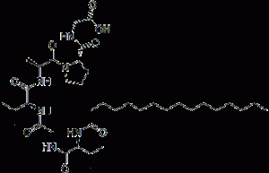 lipopeptide, palmitoyl hexapeptide, 171263-26-6