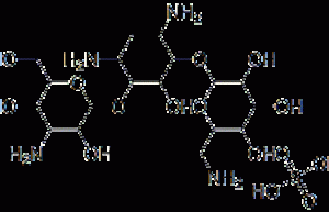 kanamycin sulfate