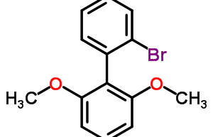 2′-bromo-2,6-dimethoxybiphenyl
