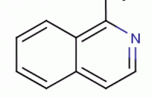 1-methylisoquinoline 1721-93-3