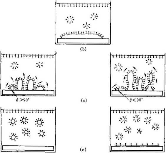 surface  active agent