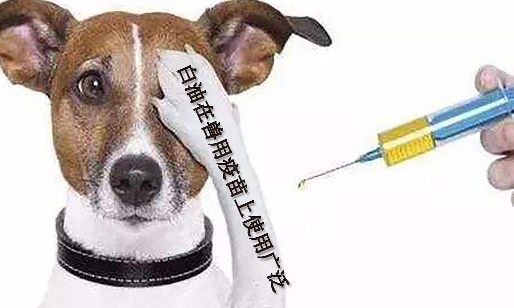 1552448090981078.jpg 1.jpg