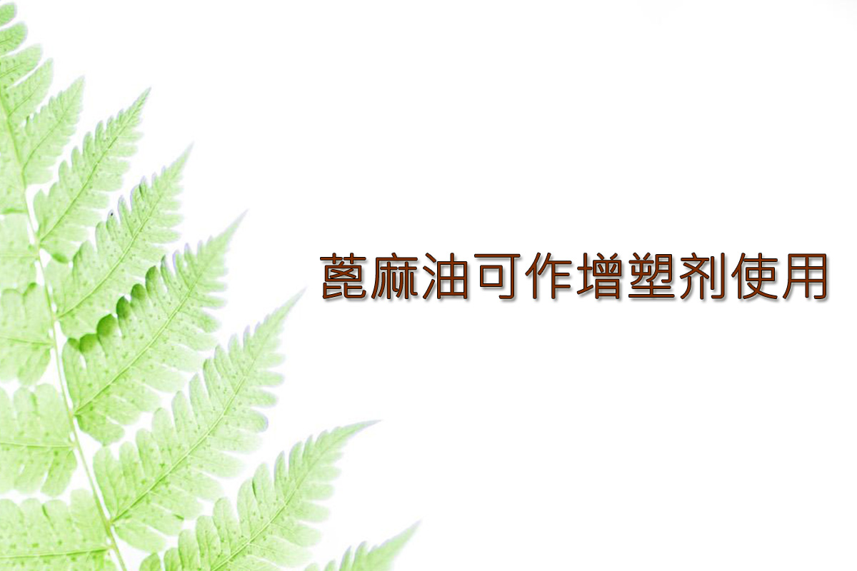 1562206384576081.jpg 3.jpg