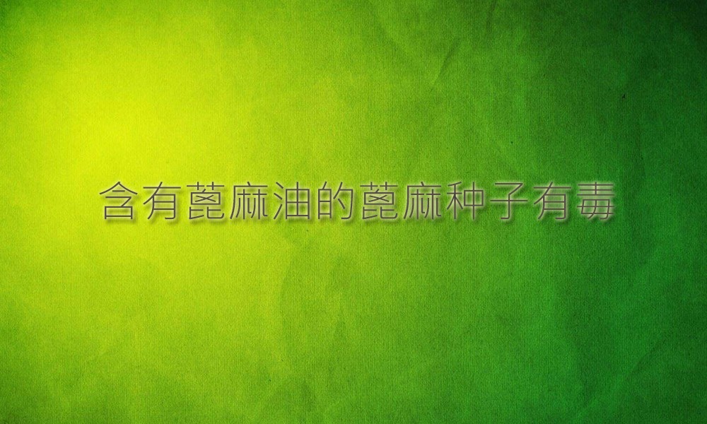 1575250865376616.jpg 1.jpg