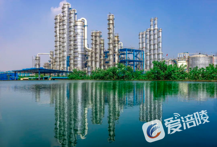 chongqing huafeng adipic acid phase vi project production unit. (2)