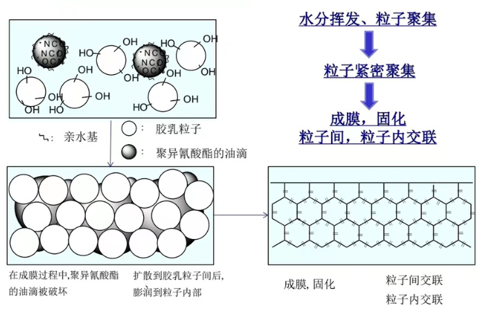 hdi waterborne asahikasei wa21-100