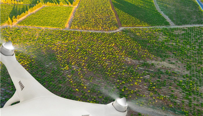 botanical pesticides have broad application prospects, and my country's enterprises have large development space