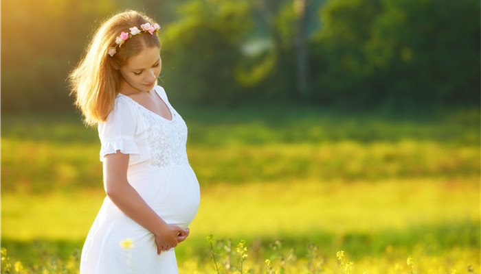 the insecticide and repellent market has entered a mature stage and new products have become an important driving force for market growth