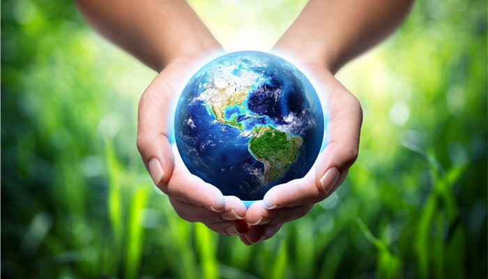 the bio-based foam market has good development prospects and europe is a major global market