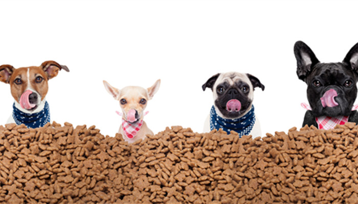 the output value of my country's feed enzyme preparations continues to grow, and vtr is the leading enterprise