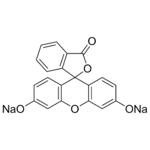 sodium fluorescein