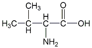 l-valine structural formula