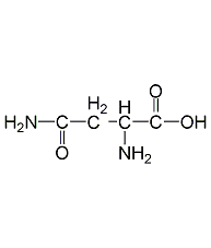 l-(+)-anhydrous asparagine structural formula