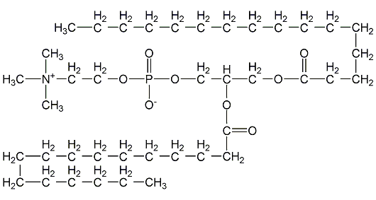 palm bile phosphate structural formula