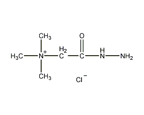 girard reagent t structural formula
