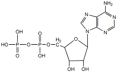 adenosine 5'-diphosphate structural formula