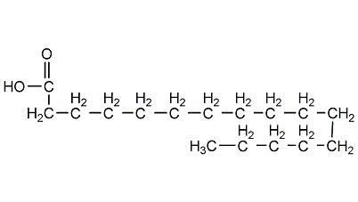 palmitic acid structural formula