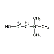 choline structural formula
