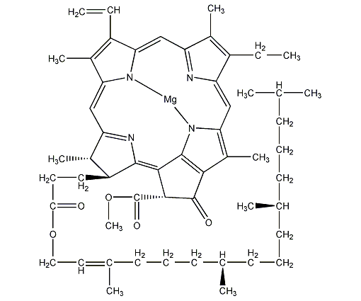 chlorophyll a structural formula
