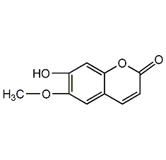 structural formula of scopolamine